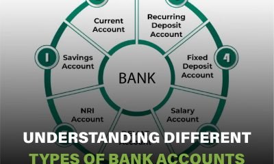 Overview of different types of bank accounts, including checking, savings, and business accounts, and their features.